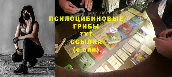 шишки Алексин