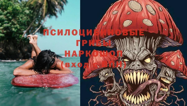 шишки Алексин