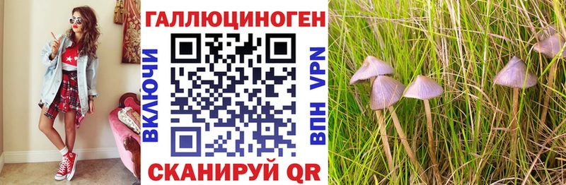 сколько стоит  мега рабочий сайт  Псилоцибиновые грибы Psilocybe  Биробиджан 