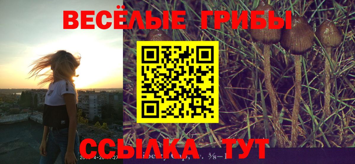 Галлюциногенные грибы прущие грибы Биробиджан