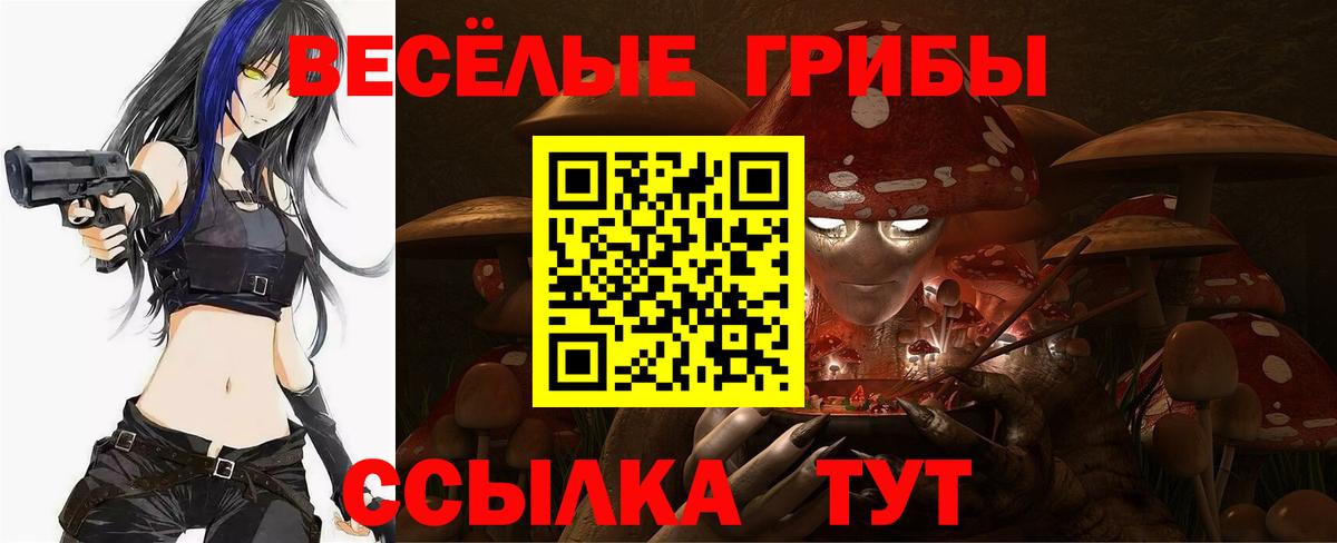 Псилоцибиновые грибы MAGIC MUSHROOMS  Вход с VPN  Биробиджан  хочу   Галлюциногенные грибы Cubensis 